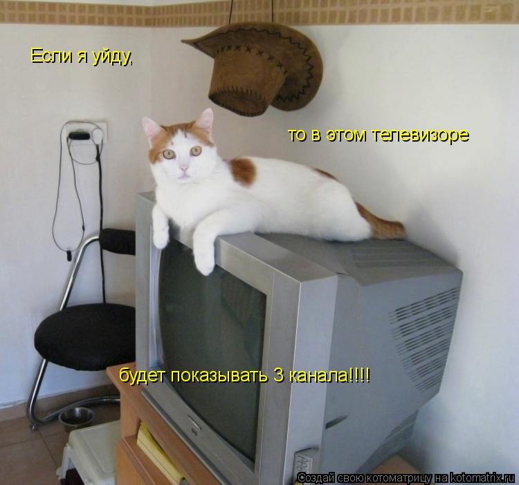 Котоматрица: Если я уйду, то в этом телевизоре  будет показывать 3 канала!!!!