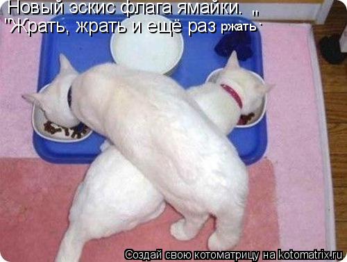 Котоматрица: Новый эскис флага ямайки. "Жрать, жрать и ещё раз ржать ".