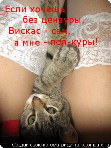 Если хочешь без цензуры, Вискас - сам, а мне - пол-куры!... Котоматрица: Если хочешь без цензуры, Вискас - сам, а мне - пол-куры!