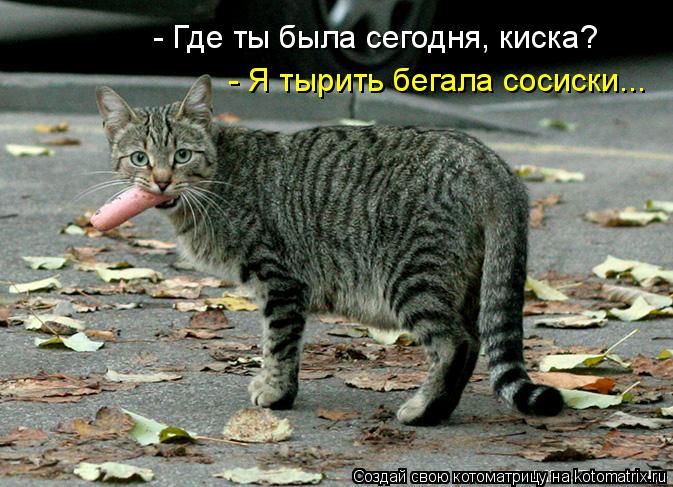 Котоматрица: - Я тырить бегала сосиски... - Где ты была сегодня, киска?