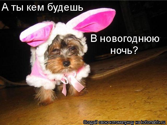 А ты кем будешь В новогоднюю ночь?... Котоматрица: А ты кем будешь В новогоднюю ночь?