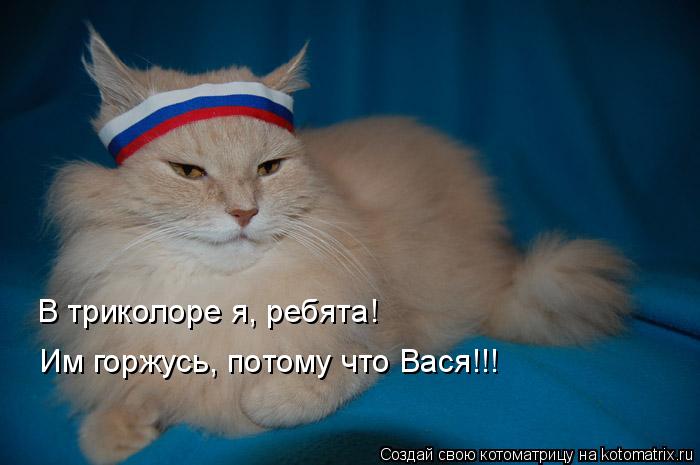 В триколоре я, ребята! Им горжусь, потому что Вася!!!... Котоматрица: В триколоре я, ребята! Им горжусь, потому что Вася!!!