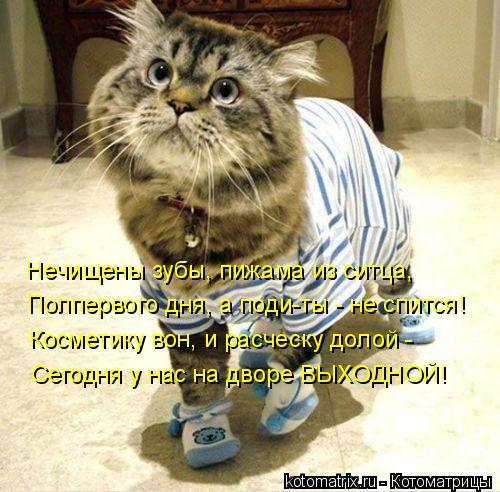 Котоматрица: Нечищены зубы, пижама из ситца, Полпервого дня, а поди-ты - не спится! Косметику вон, и расческу долой - Сегодня у нас на дворе ВЫХОДНОЙ!