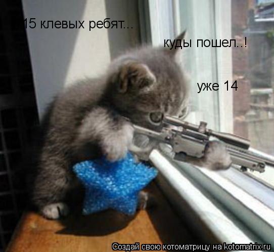 15 клевых ребят... куды пошел..! уже 14... Котоматрица: 15 клевых ребят... куды пошел..! уже 14
