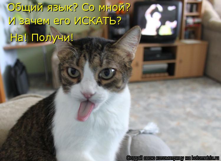 Общий язык? Со мной? И зачем его ИСКАТЬ? На! Получи!... Котоматрица: Общий язык? Со мной? И зачем его ИСКАТЬ? На! Получи!