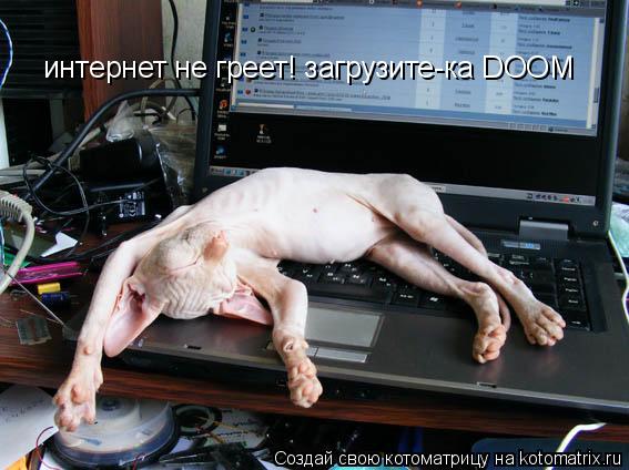 Котоматрица: интернет не греет! загрузите-ка DOOM