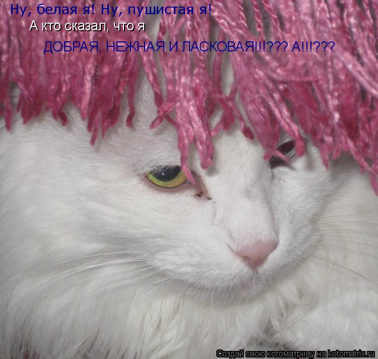 Котоматрица: Ну, белая я! Ну, пушистая я! А кто сказал, что я ДОБРАЯ, НЕЖНАЯ И ЛАСКОВАЯ!!!??? А!!!???
