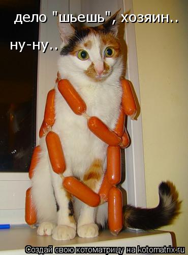 Котоматрица: дело "шьешь", хозяин.. ну-ну..