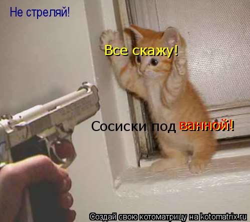 Котоматрица: Не стреляй! Сосиски под ванной! Все скажу! ванной! ванной!