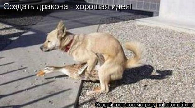 Котоматрица: Создать дракона - хорошая идея!