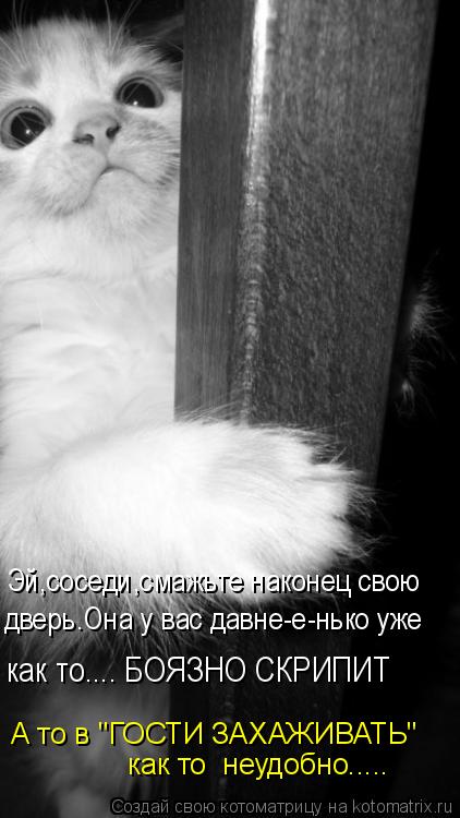 Котоматрица: Эй,соседи,смажьте наконец свою дверь.Она у вас давне-е-нько уже как то.... БОЯЗНО СКРИПИТ  как то  неудобно..... А то в "ГОСТИ ЗАХАЖИВАТЬ"
