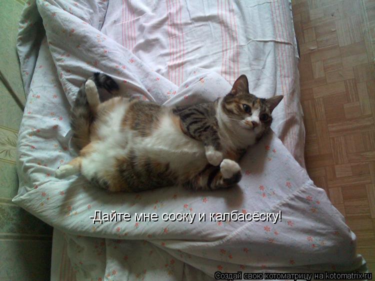 Котоматрица: -Дайте мне соску и калбасёску!