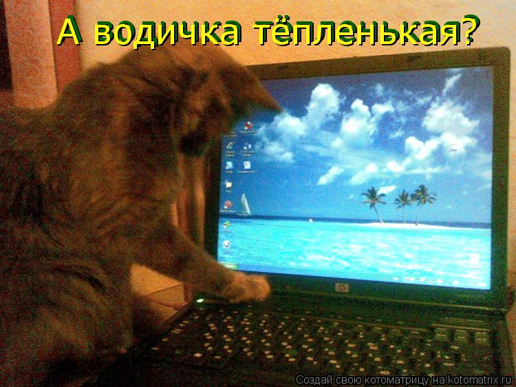 Котоматрица: А водичка тёпленькая? А водичка тёпленькая?