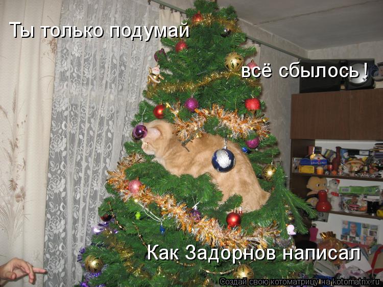 Котоматрица: Ты только подумай всё сбылось ! Как Задорнов написал