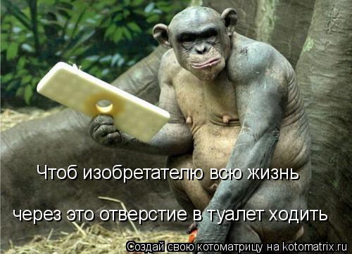 Котоматрица: Чтоб изобретателю всю жизнь  через это отверстие в туалет ходить