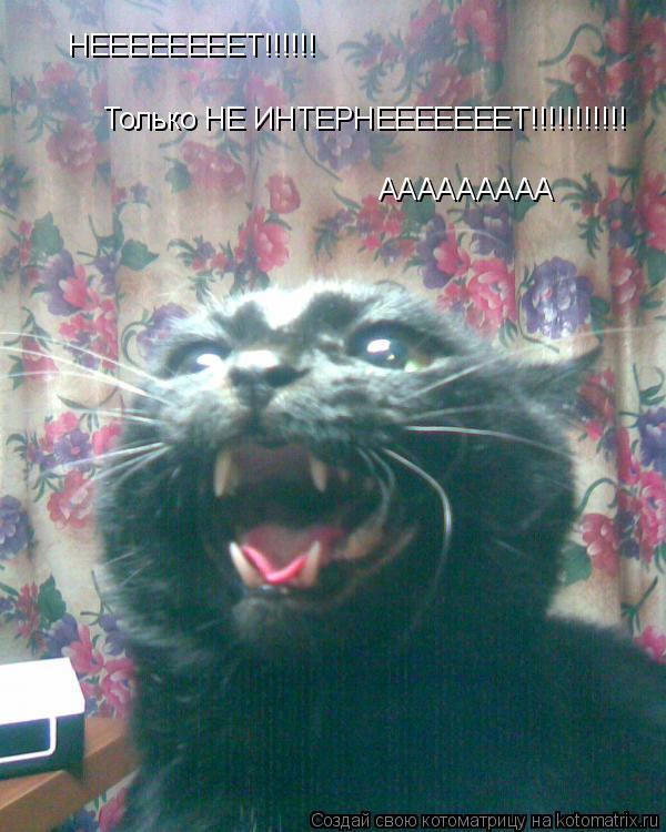 Котоматрица: НЕЕЕЕЕЕЕЕТ!!!!!! Только НЕ ИНТЕРНЕЕЕЕЕЕЕТ!!!!!!!!!!! ААААААААА