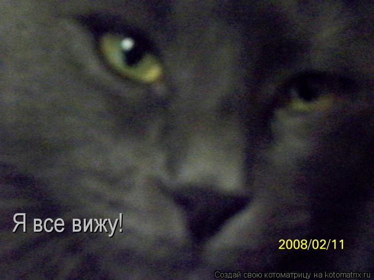 Котоматрица: Я все вижу!