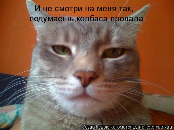 Котоматрица: И не смотри на меня так, подумаешь,колбаса пропала