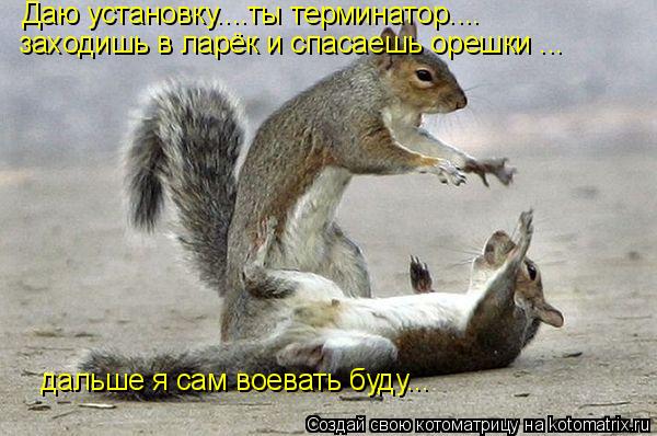 Даю установку....ты терминатор.... заходишь в ларёк и спасаешь орешки ... дальше я сам воевать буду..... Котоматрица: Даю установку....ты терминатор.... заходишь в ларёк и спасаешь орешки ... дальше я сам воевать буду...