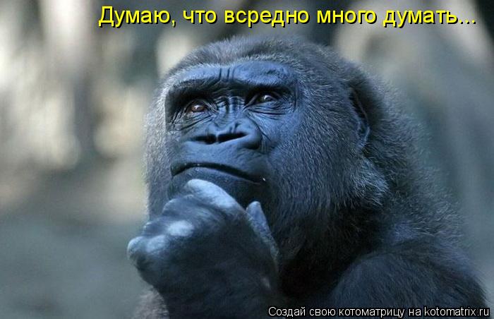 Думаю, что всредно много думать...... Котоматрица: Думаю, что всредно много думать...