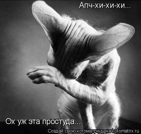 Апч-хи-хи-хи... Ох уж эта простуда...... Котоматрица: Апч-хи-хи-хи... Ох уж эта простуда...