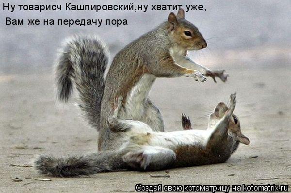 Котоматрица: Ну товарисч Кашпировский,ну хватит уже, Вам же на передачу пора