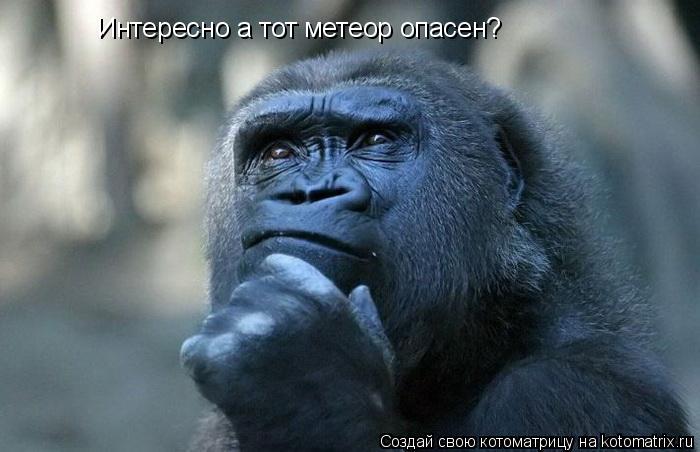 Котоматрица: Интересно а тот метеор опасен?