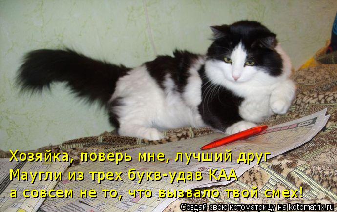 Котоматрица: Хозяйка, поверь мне, лучший друг Маугли из трех букв-удав КАА а совсем не то, что вызвало твой смех!
