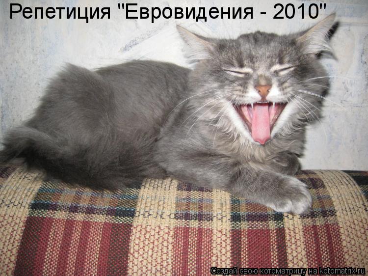 Котоматрица: Репетиция "Евровидения - 2010"
