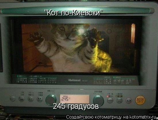 Котоматрица: "Кот по-Киевски" 245 градусов
