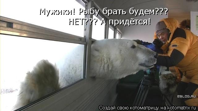 Мужики! Рыбу брать будем??? НЕТ??? А придётся!... Котоматрица: Мужики! Рыбу брать будем??? НЕТ??? А придётся!