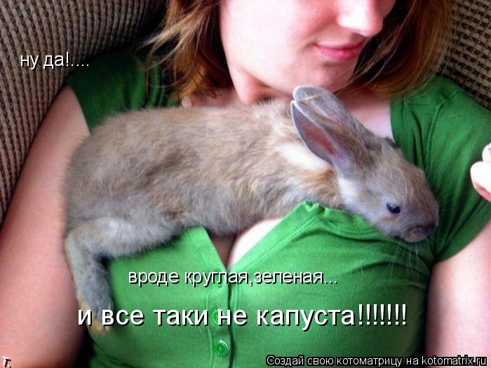 Котоматрица: ну да!.... вроде круглая,зеленая...  и все таки не капуста!!!!!!!