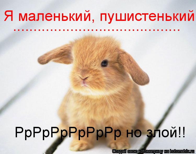 Котоматрица: Я маленький, пушистенький ......................................... РрРрРрРрРрРр но злой!!