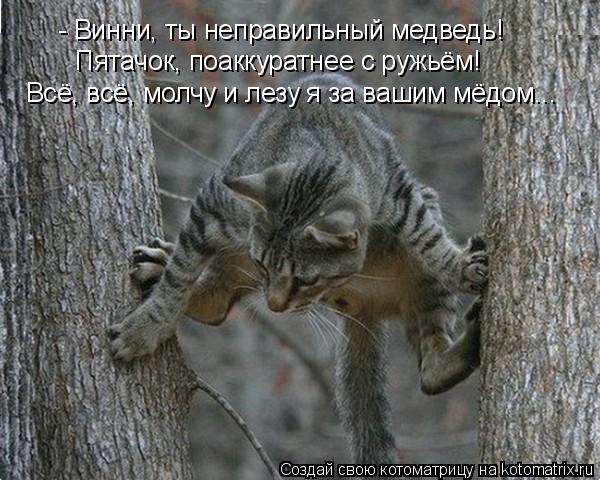 - Винни, ты неправильный медведь! Пятачок, поаккуратнее с ружьём! Всё, всё, молчу и лезу я за вашим м... Котоматрица: - Винни, ты неправильный медведь! Пятачок, поаккуратнее с ружьём! Всё, всё, молчу и лезу я за вашим мёдом...