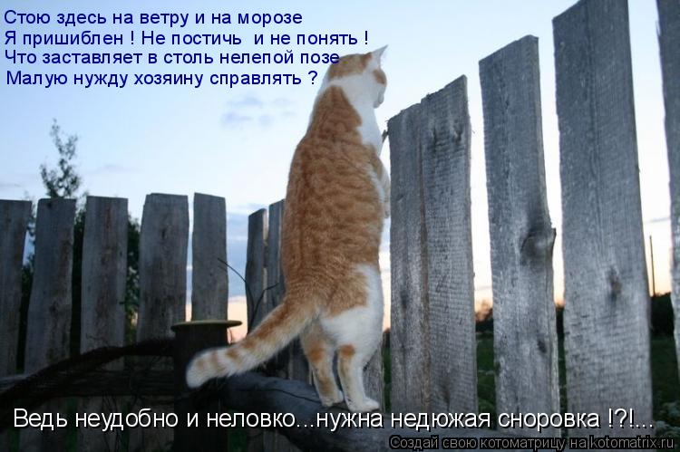 Что заставляет в столь нелепой позе Я пришиблен ! Не постичь и не понять ! Стою здесь на ветру и на ... Котоматрица: Что заставляет в столь нелепой позе Я пришиблен ! Не постичь и не понять ! Стою здесь на ветру и на морозе Малую нужду хозяину справлять ? Вед