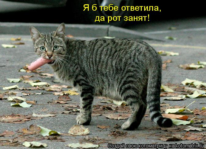 Я б тебе ответила, да рот занят!... Котоматрица: Я б тебе ответила, да рот занят!