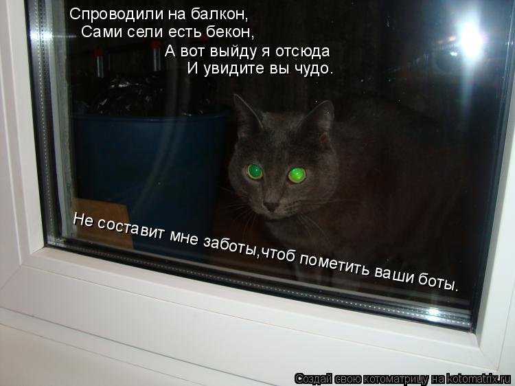 Сами сели есть бекон, А вот выйду я отсюда И увидите вы чудо. Спроводили на балкон, Не составит мне з... Котоматрица: Сами сели есть бекон, А вот выйду я отсюда И увидите вы чудо. Спроводили на балкон, Не составит мне заботы,чтоб пометить ваши боты.