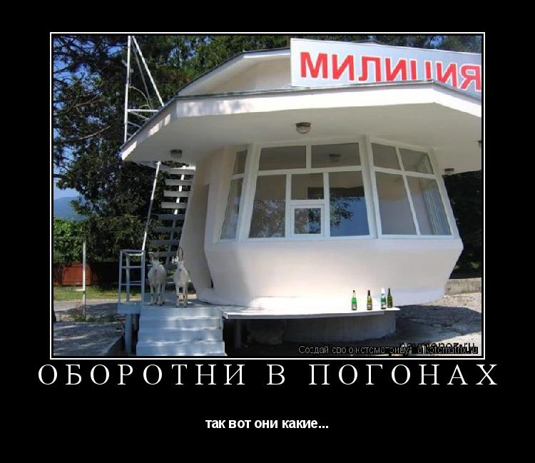 ОБОРОТНИ В ПОГОНАХ так вот они какие...... Котоматрица: ОБОРОТНИ В ПОГОНАХ так вот они какие...
