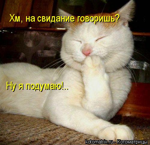 Котоматрица: Хм, на свидание говоришь? Ну я подумаю!..