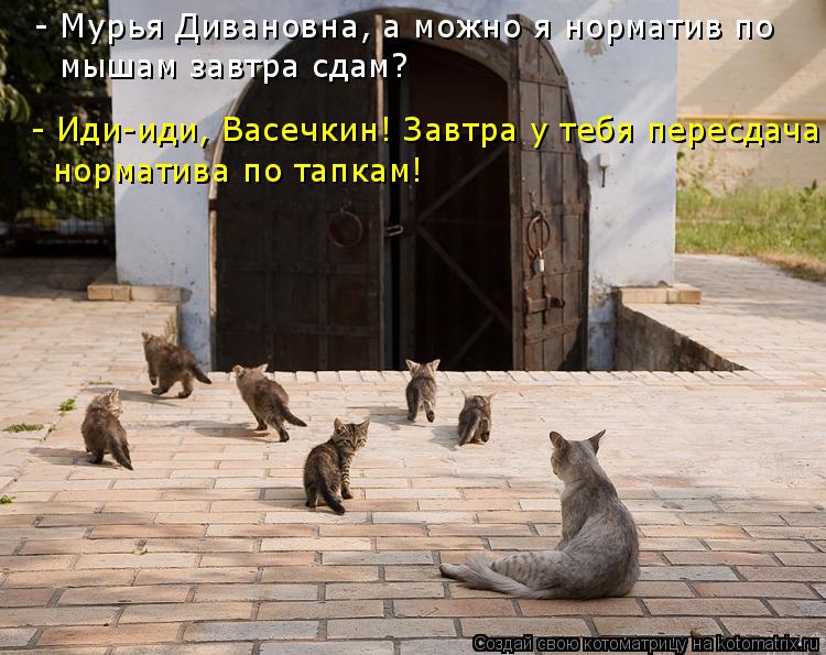 - Мурья Дивановна, а можно я норматив по мышам завтра сдам? - Иди-иди, Васечкин! Завтра у тебя пересд... Котоматрица: - Мурья Дивановна, а можно я норматив по мышам завтра сдам? - Иди-иди, Васечкин! Завтра у тебя пересдача норматива по тапкам!