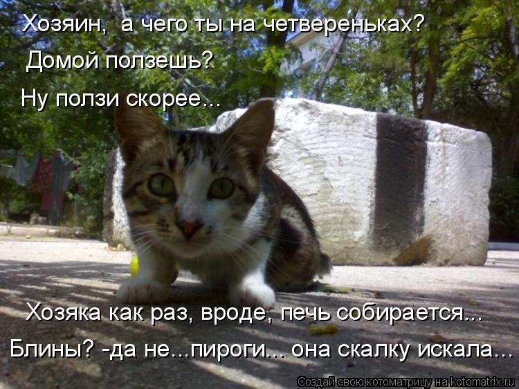 Хозяин, а чего ты на четвереньках? Домой ползешь? Хозяка как раз, вроде, печь собирается... Ну ползи... Котоматрица: Хозяин, а чего ты на четвереньках? Домой ползешь? Хозяка как раз, вроде, печь собирается... Ну ползи скорее... Блины? -да не...пироги... она скалку