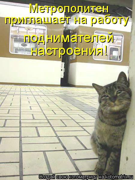 Метрополитен приглашает на работу поднимателей настроения!... Котоматрица: Метрополитен приглашает на работу поднимателей настроения!