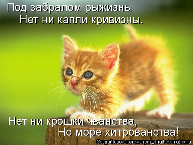 Под забралом рыжизны Нет ни капли кривизны. Нет ни крошки чванства, Но море хитрованства!... Котоматрица: Под забралом рыжизны Нет ни капли кривизны. Нет ни крошки чванства, Но море хитрованства!