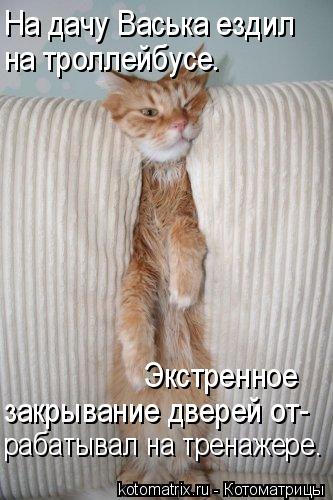 закрывание дверей от- рабатывал на тренажере. Экстренное На дачу Васька ездил на троллейбусе.... Котоматрица: закрывание дверей от- рабатывал на тренажере. Экстренное На дачу Васька ездил на троллейбусе.