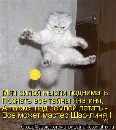 Мяч силой мысли поднимать, Познать все тайны яна-иня, А также, над землей летать - Всё может мастер Ш... Котоматрица: Мяч силой мысли поднимать, Познать все тайны яна-иня, А также, над землей летать - Всё может мастер Шао-линя ! :о)