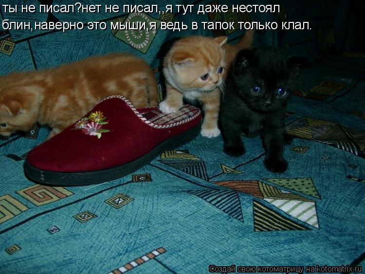 ты не писал?нет не писал,,я тут даже нестоял блин,наверно это мыши,я ведь в тапок только клал.... Котоматрица: ты не писал?нет не писал,,я тут даже нестоял блин,наверно это мыши,я ведь в тапок только клал.