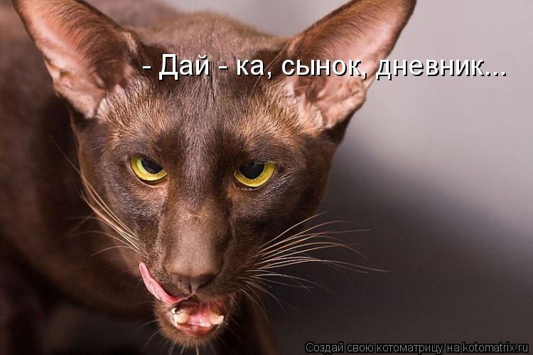 - Дай - ка, сынок, дневник...... Котоматрица: - Дай - ка, сынок, дневник...