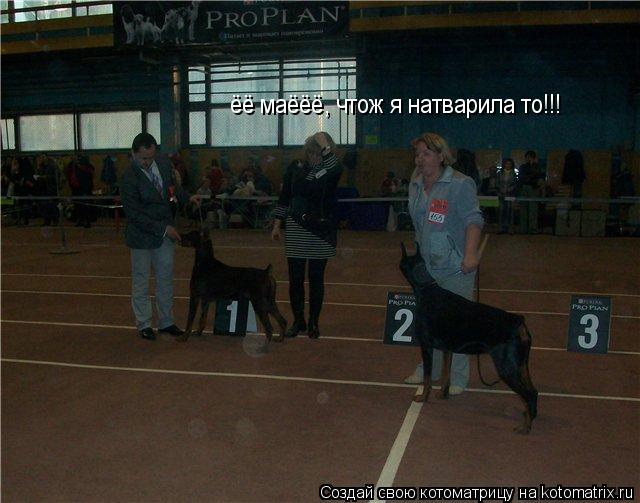 Котоматрица: ёё маёёё, чтож я натварила то!!! ёё маёёё, чтож я натварила то!!!