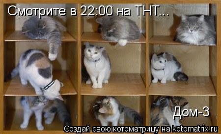 Котоматрица: Смотрите в 22:00 на ТНТ... Дом-3