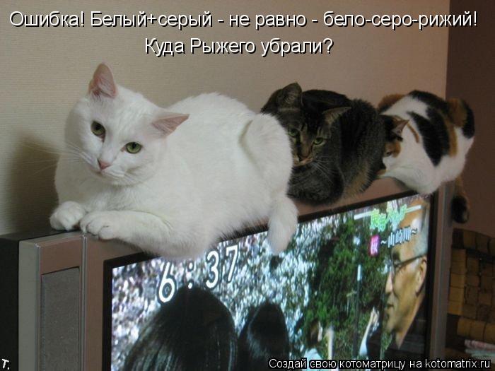 Котоматрица: Ошибка! Белый+серый - не равно - бело-серо-рижий! Куда Рыжего убрали?